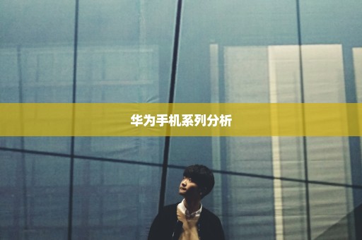 华为手机系列分析
