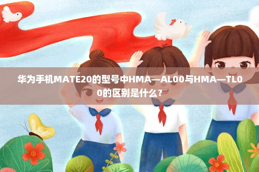 华为手机MATE20的型号中HMA—AL00与HMA—TL00的区别是什么？