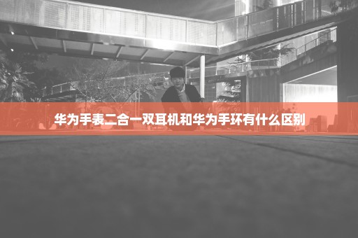 华为手表二合一双耳机和华为手环有什么区别