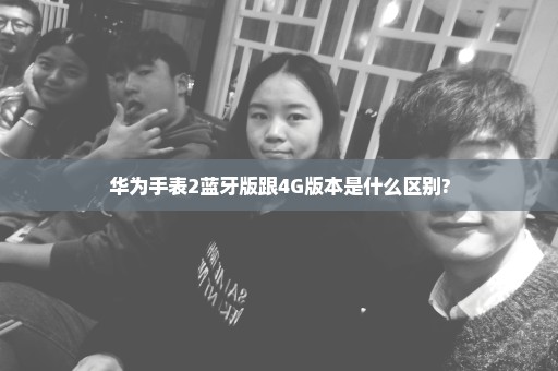 华为手表2蓝牙版跟4G版本是什么区别?