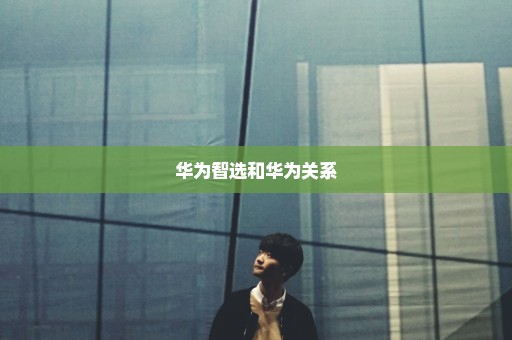 华为智选和华为关系