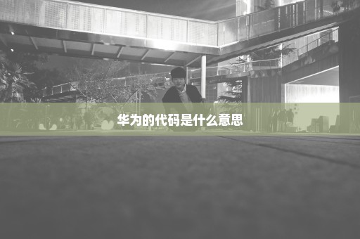 华为的代码是什么意思