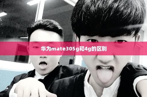 华为mate305g和4g的区别