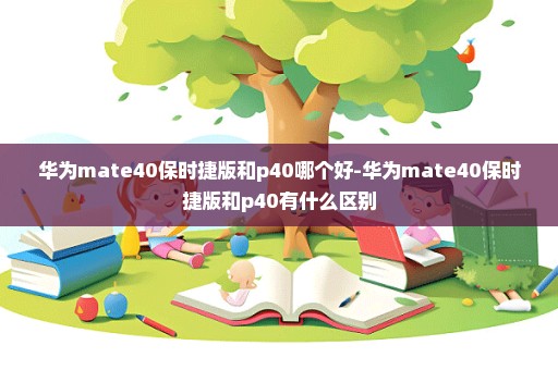 华为mate40保时捷版和p40哪个好-华为mate40保时捷版和p40有什么区别