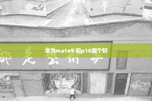 华为mate9 和p10哪个好