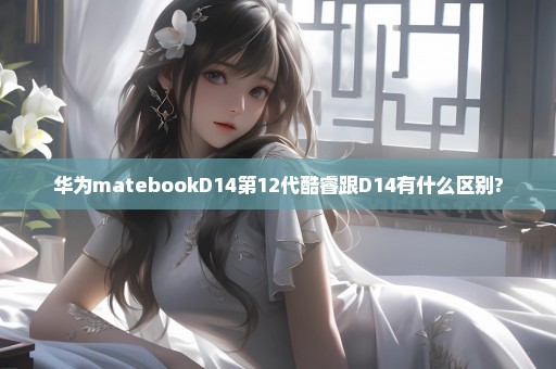 华为matebookD14第12代酷睿跟D14有什么区别?