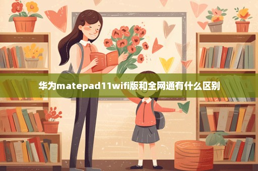 华为matepad11wifi版和全网通有什么区别