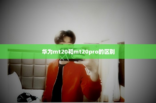 华为mt20和mt20pro的区别