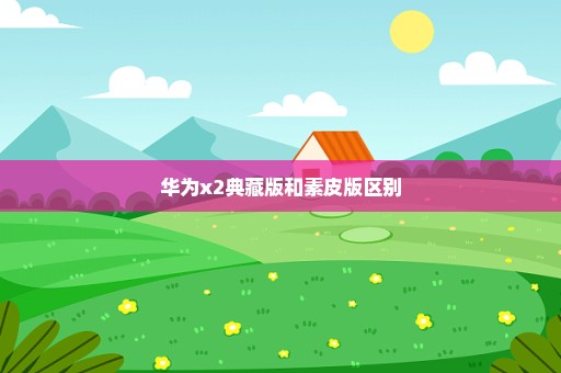 华为x2典藏版和素皮版区别