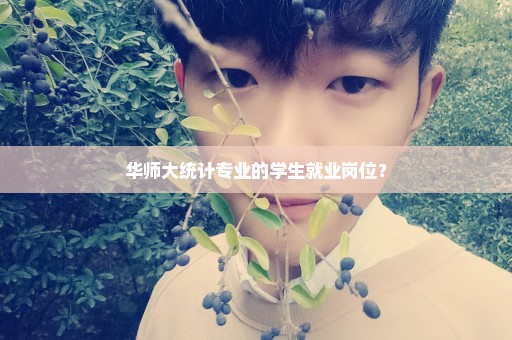 华师大统计专业的学生就业岗位？
