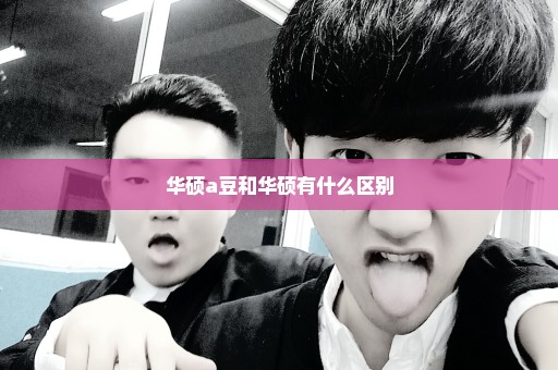 华硕a豆和华硕有什么区别