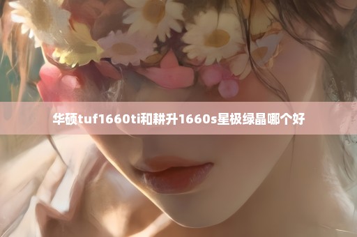 华硕tuf1660ti和耕升1660s星极绿晶哪个好