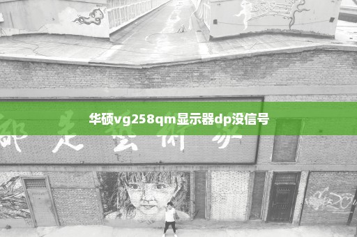 华硕vg258qm显示器dp没信号