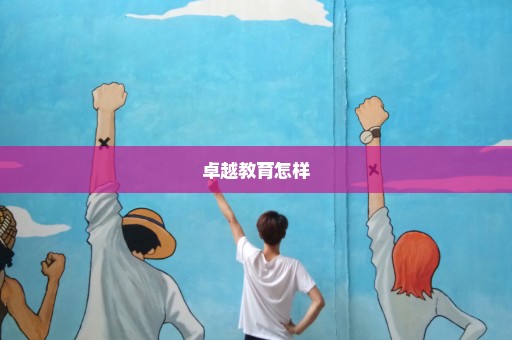 卓越教育怎样