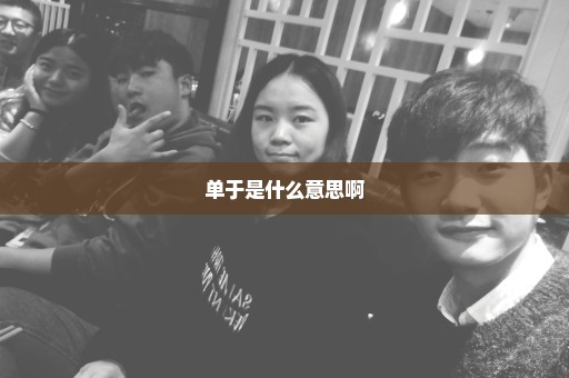 单于是什么意思啊