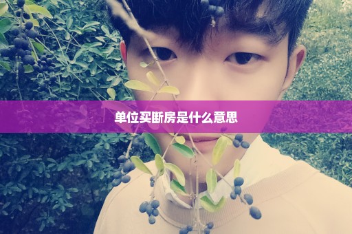 单位买断房是什么意思