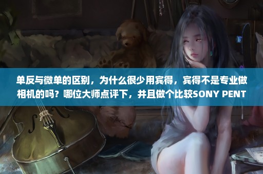 单反与微单的区别，为什么很少用宾得，宾得不是专业做相机的吗？哪位大师点评下，并且做个比较SONY PENTAX