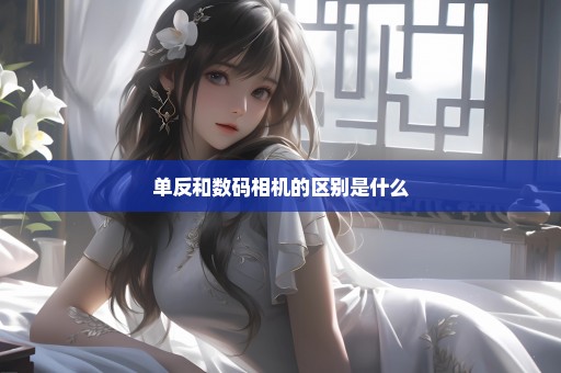 单反和数码相机的区别是什么
