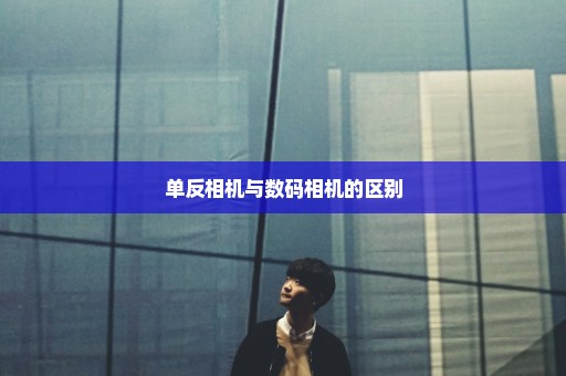 单反相机与数码相机的区别