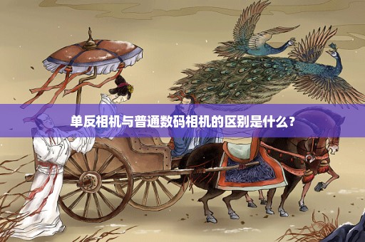 单反相机与普通数码相机的区别是什么？