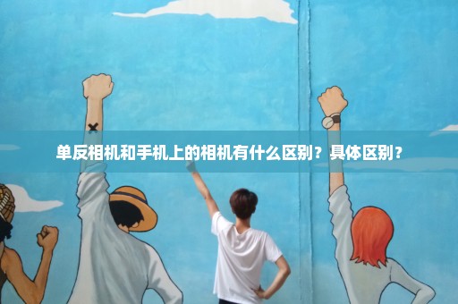 单反相机和手机上的相机有什么区别？具体区别？