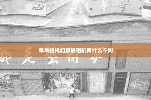 单反相机和数码相机有什么不同