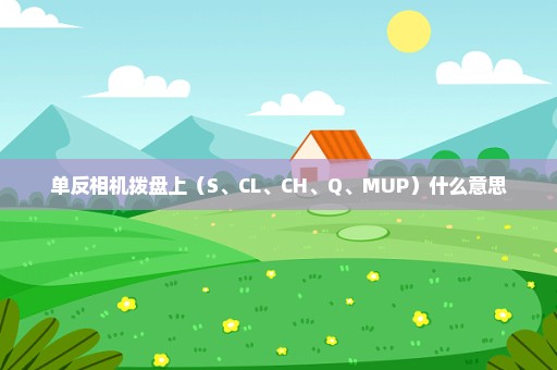 单反相机拨盘上（S、CL、CH、Q、MUP）什么意思
