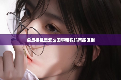 单反相机是怎么回事和数码有撒区别
