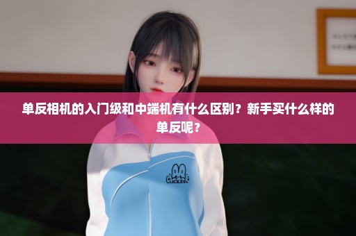 单反相机的入门级和中端机有什么区别？新手买什么样的单反呢？