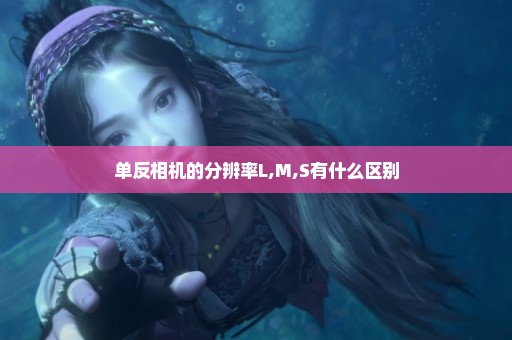 单反相机的分辨率L,M,S有什么区别