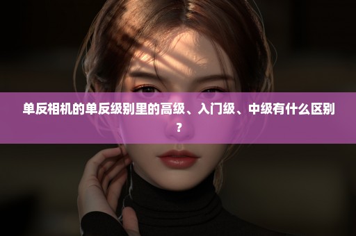 单反相机的单反级别里的高级、入门级、中级有什么区别？