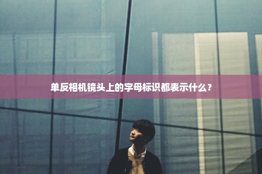 单反相机镜头上的字母标识都表示什么？