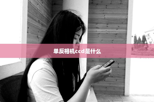 单反相机ccd是什么