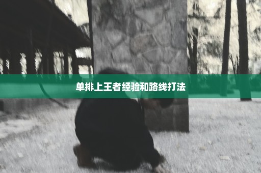 单排上王者经验和路线打法