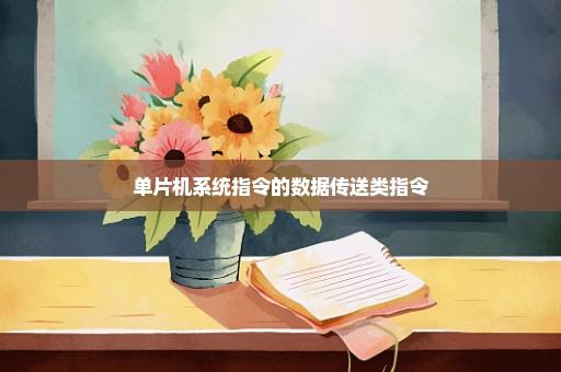 单片机系统指令的数据传送类指令