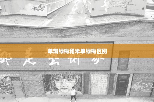 单瓣绿梅和米单绿梅区别