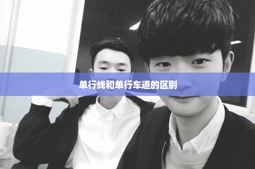 单行线和单行车道的区别