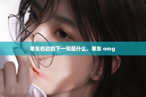 单车右边的下一句是什么，单车 omg 