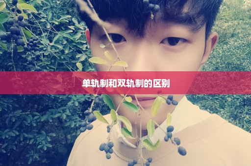 单轨制和双轨制的区别