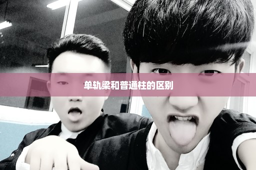 单轨梁和普通柱的区别