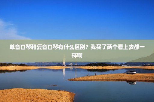 单音口琴和复音口琴有什么区别？我买了两个看上去都一样啊