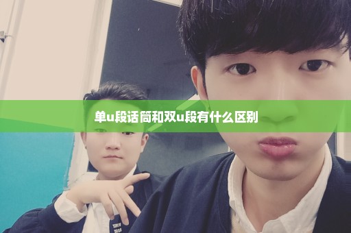 单u段话筒和双u段有什么区别