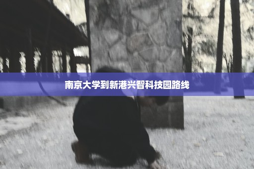 南京大学到新港兴智科技园路线