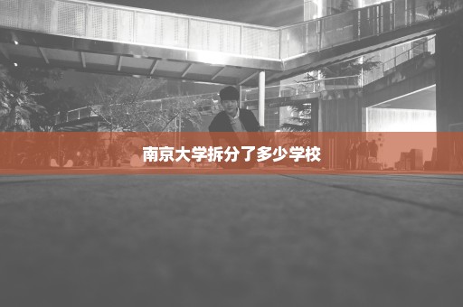 南京大学拆分了多少学校