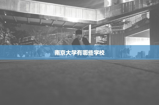 南京大学有哪些学校
