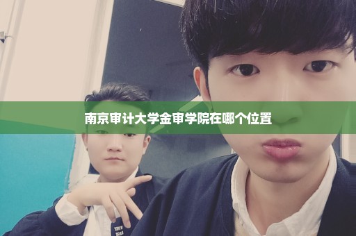 南京审计大学金审学院在哪个位置