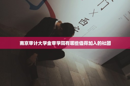 南京审计大学金审学院有哪些值得加入的社团
