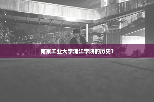 南京工业大学浦江学院的历史？