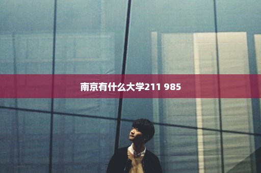 南京有什么大学211 985