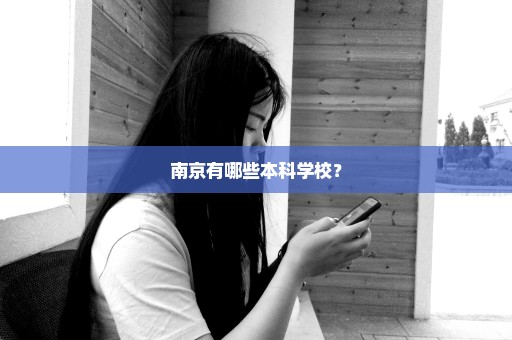南京有哪些本科学校？
